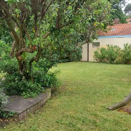 Charmante Maison Gaume, 3 Chambres, - Fr-1-433-151